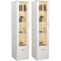 Lot de deux vitrines avec portes vitrées, étagères en verre et éclairage LED pour rangement
